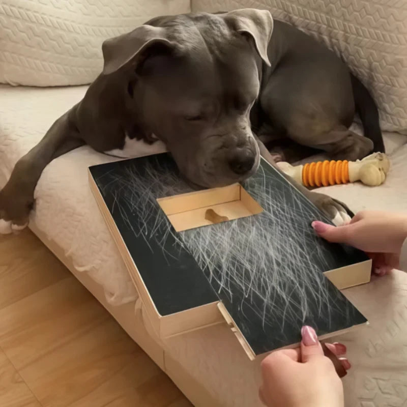 Interactive Dog Scratch Board
