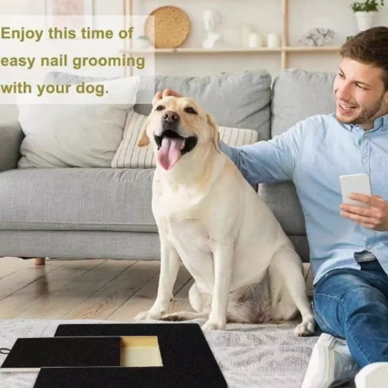 Interactive Dog Scratch Board