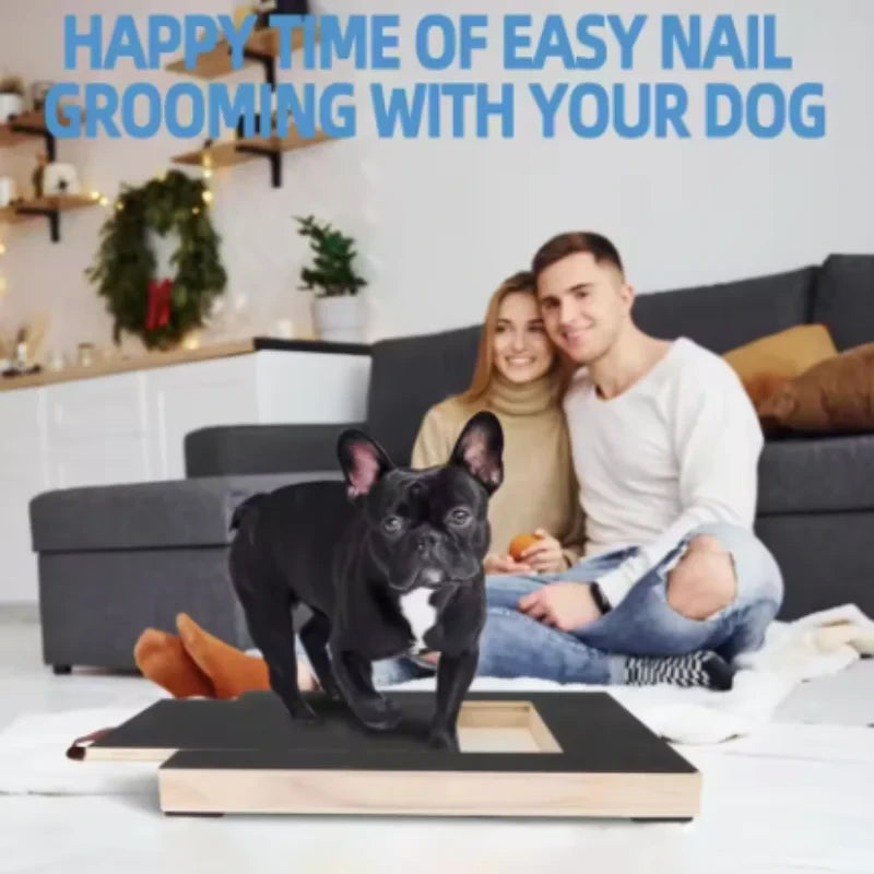 Interactive Dog Scratch Board