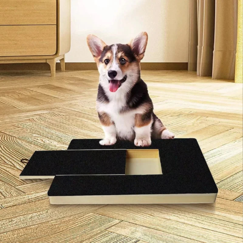 Interactive Dog Scratch Board